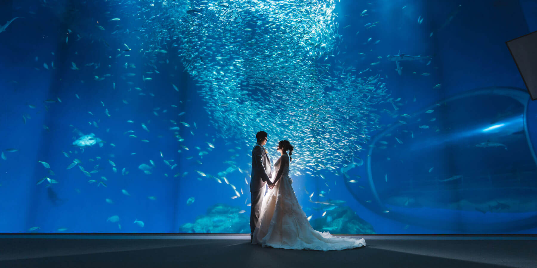 水族館貸切で夢のようなフォトウェディング
